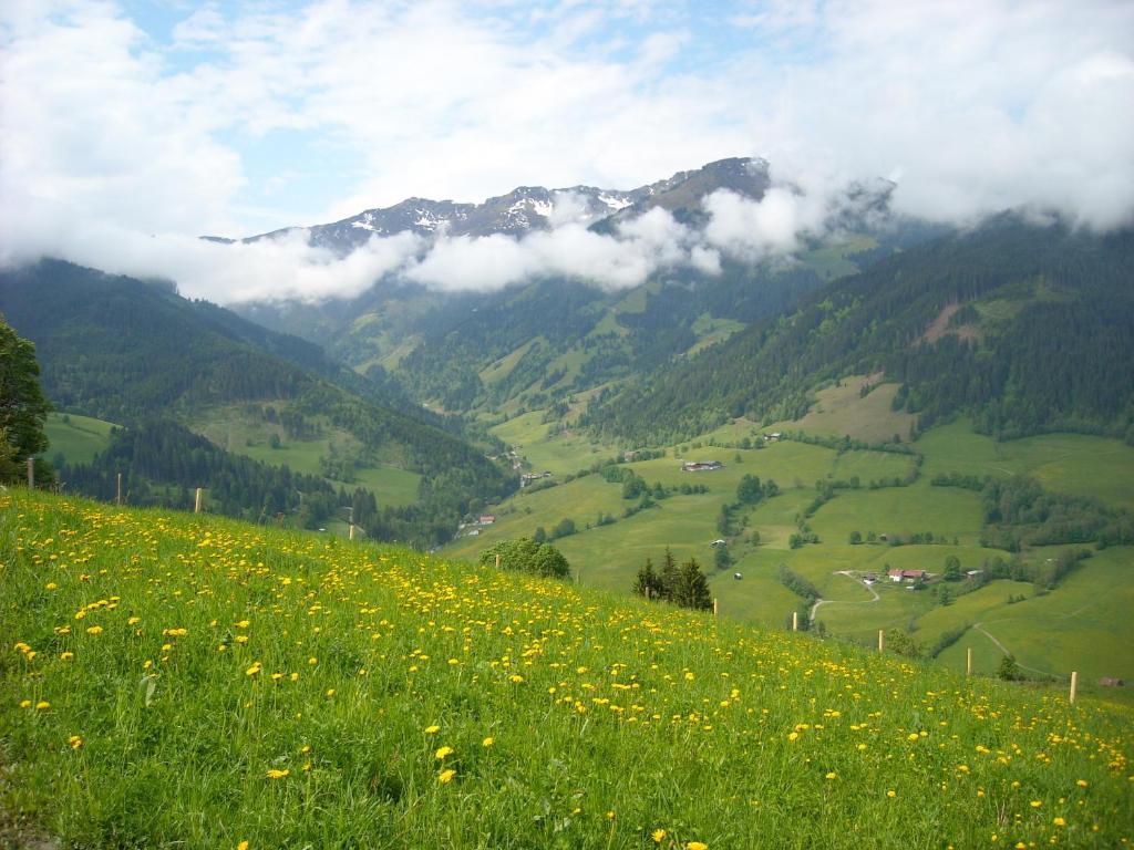 Haus Rieder Georg Apartment Maria Alm am Steinernen Meer Bagian luar foto